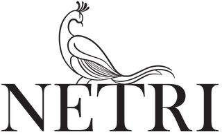 Netri Fashion